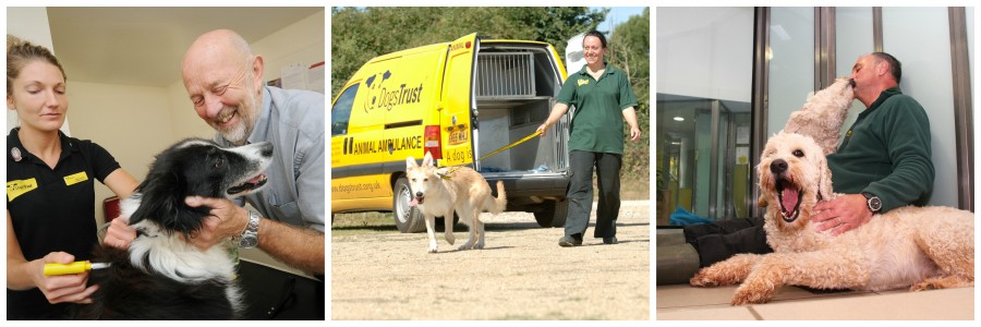 Dogs Trust charity - Hands On Payroll Giving